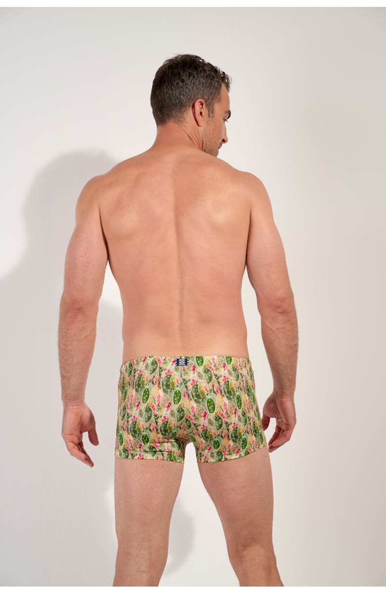 HOM Taormina Swim Shorts, Alternate, color, Green Print