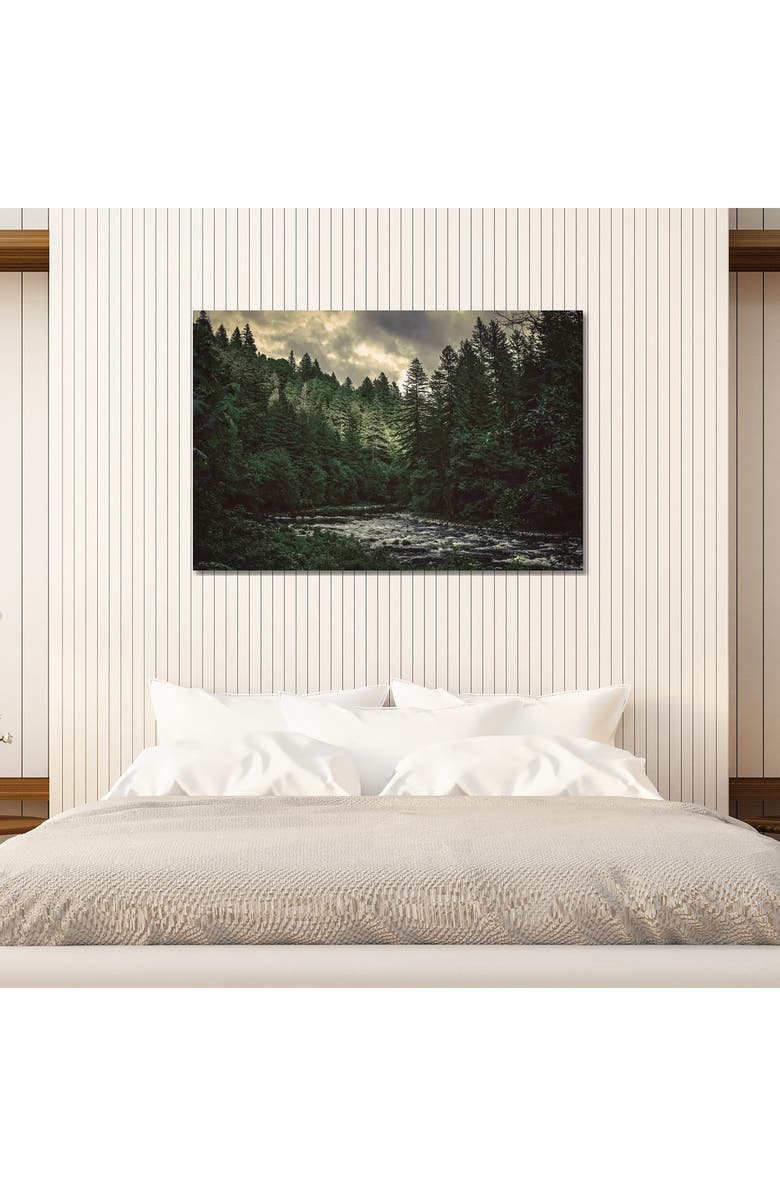 iCanvas Pacific Northwest River and Trees by Nature Magick Canvas Wall Art, Alternate, color, Forest River