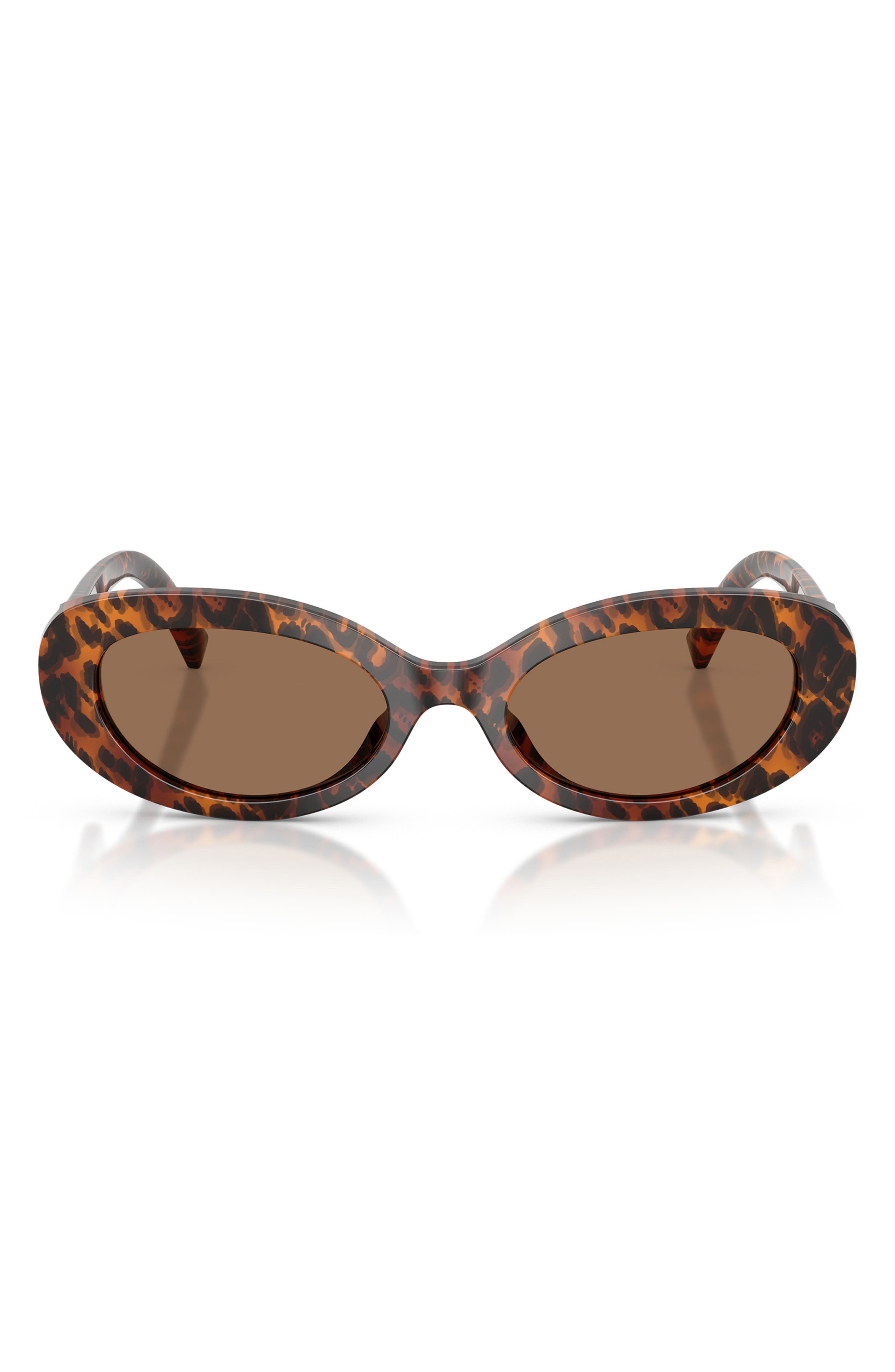 selected LEO TRANSPARENT / DARK BROWN