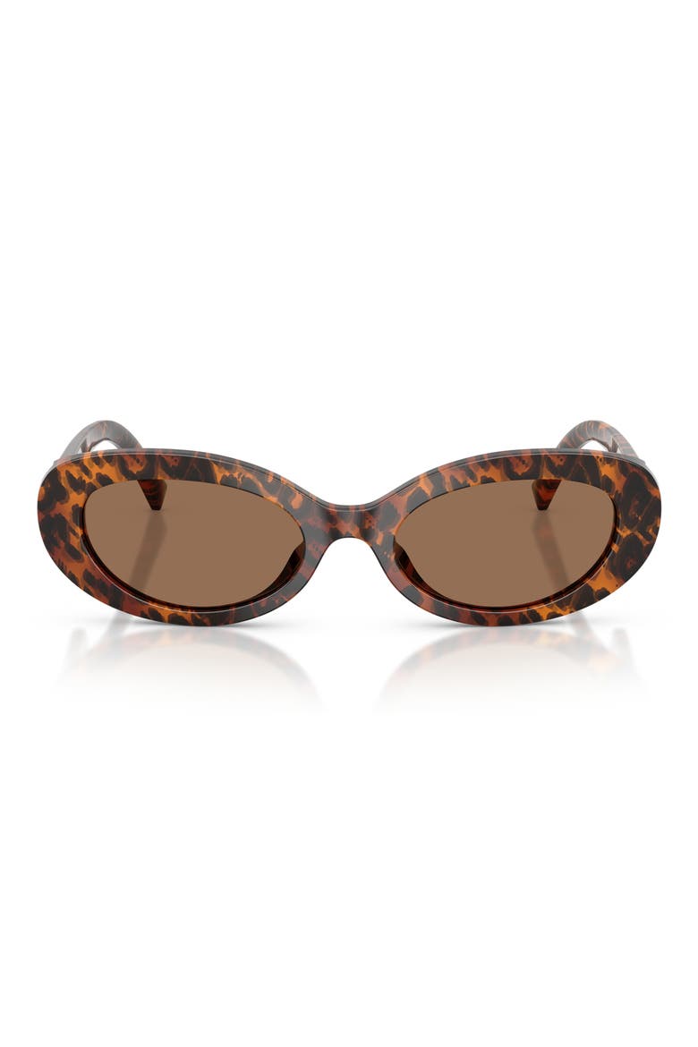 53mm Oval Sunglasses, Main, color, LEO TRANSPARENT / DARK BROWN