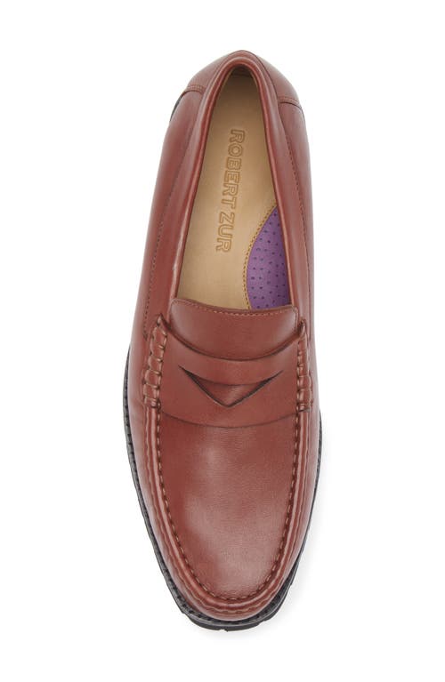 Robert Zur Dillon Penny Loafer In Luggage
