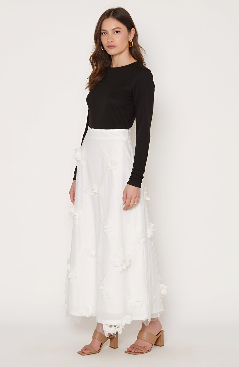 Modenaire Embroidered Mesh Maxi Skirt with 3D Floral Appliqué, Alternate, color, 