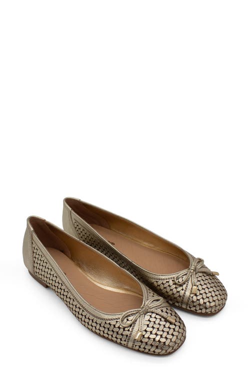 Bottero Botsamya Ballet Flat