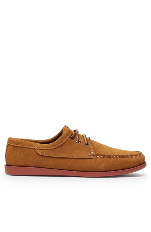 Quoddy Blucher Shoe in Toast-Suede  product