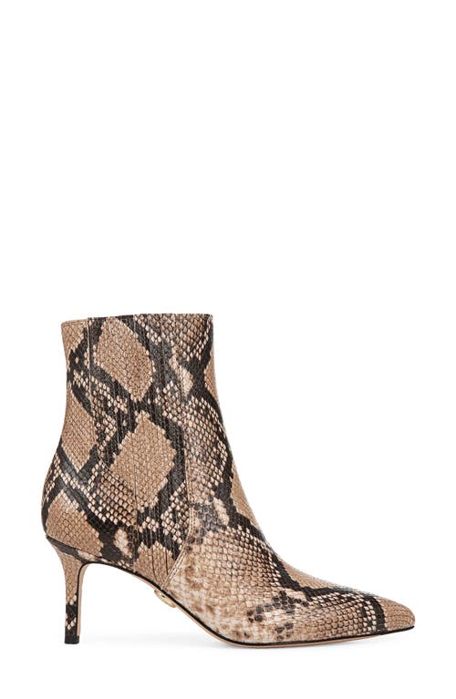 Veronica Beard Lisa Pointed Toe Bootie In Latte