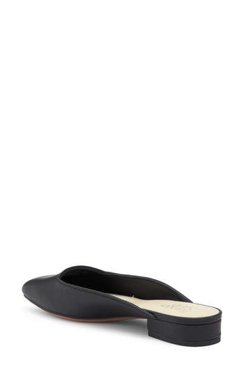 Franco Sarto Dayla Mule