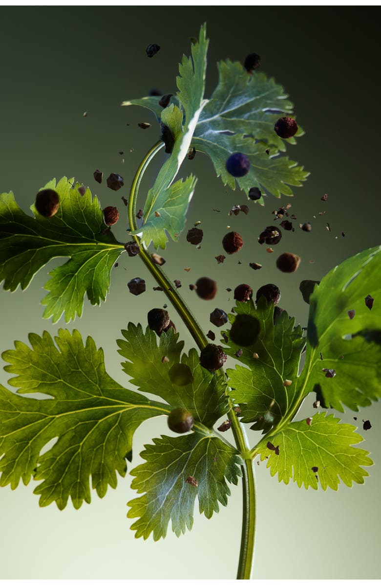 BVLGARI Man Wood Essence Parfum, Alternate, color, 