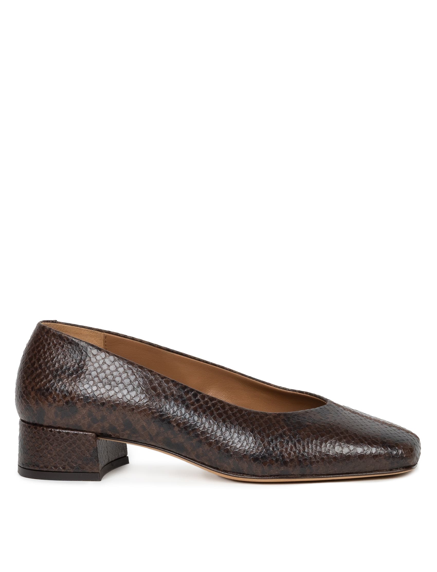 Cobra Brown