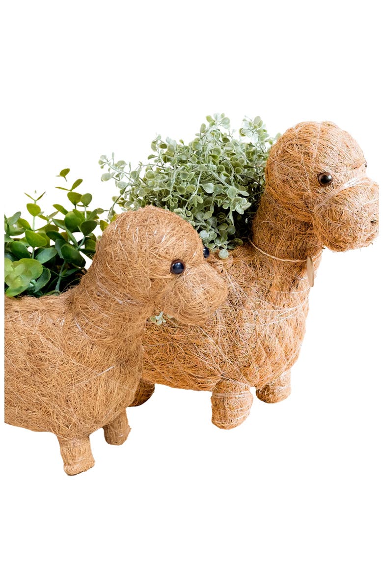 Dinosaur Coco Coir Planters, Alternate, color, Brown Baby Bronto