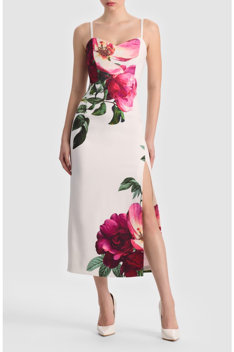 Nina Placed Floral Dress, Main, color, EMPRESS BLOOM OFF WHITE