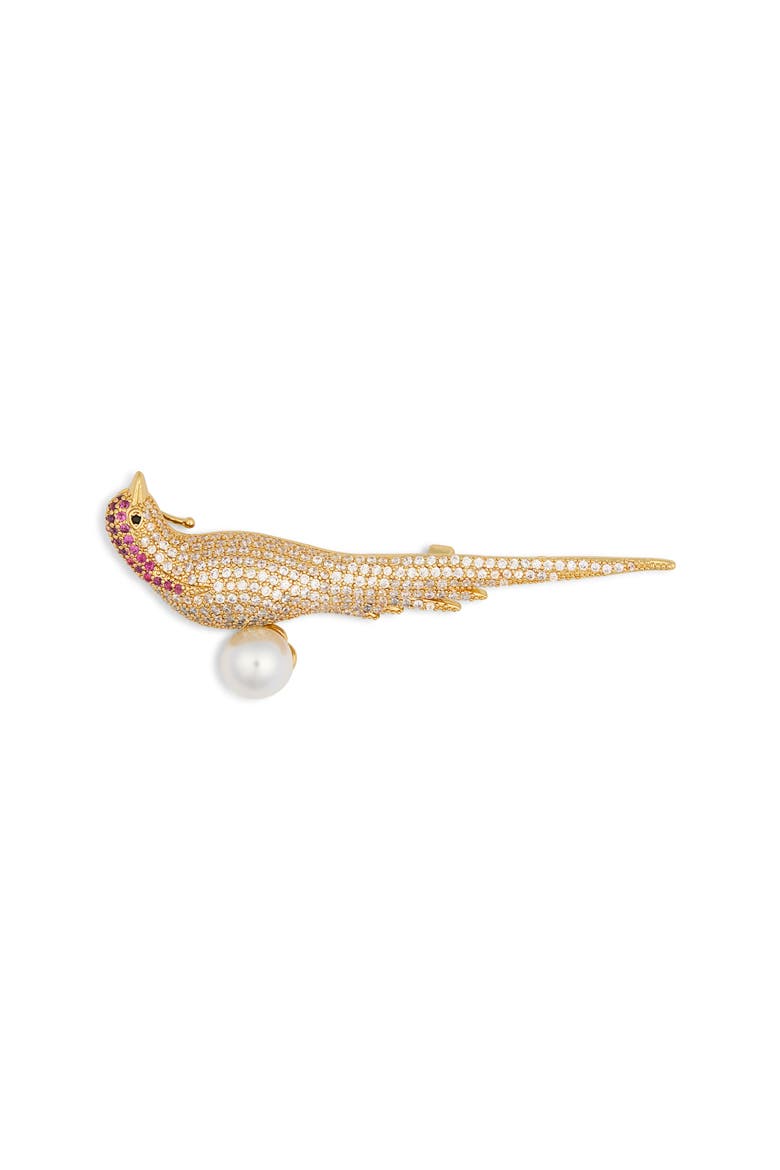 Greta CZ Pavè Parakeet Brooch, Main, color, GOLD