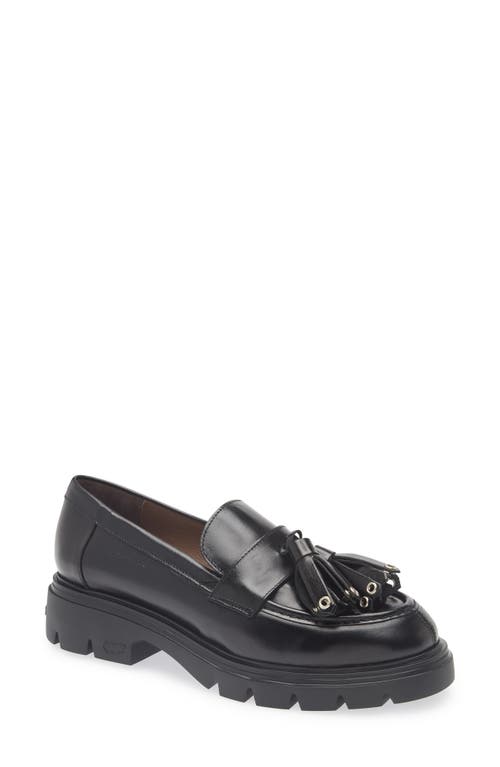 Wonders A-4303 Tassel Platform Loafer In Black