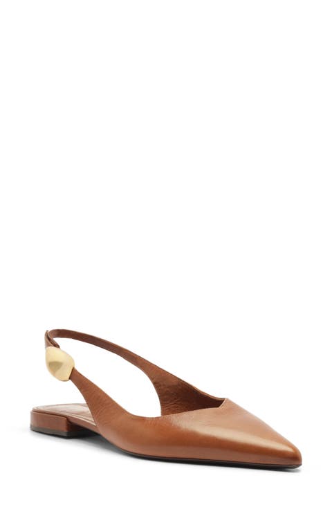 Farrah Slingback Pointed Toe Flat (Women)