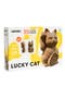  Lucky Cat