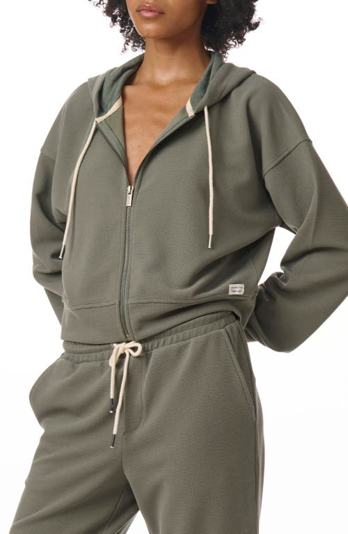 Splendid Waffle Stitch Front Zip Hoodie In Soft Vob