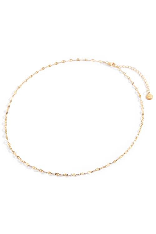Mint & Lily Petal Chain Necklace In Gold