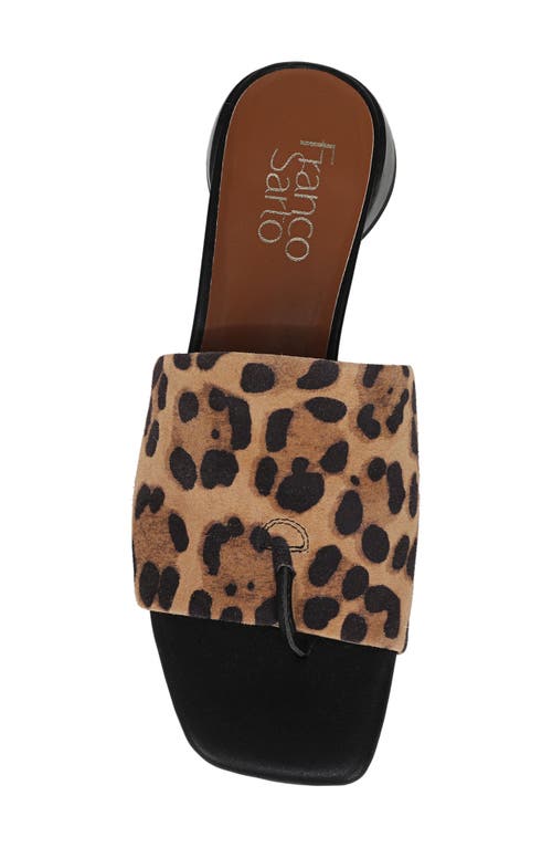 Shop Franco Sarto Loran Sandal In Brown/brown