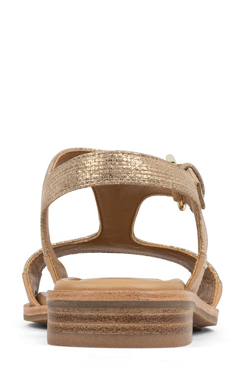 DONALD PLINER DONALD PLINER DRIA T-STRAP SANDAL 
