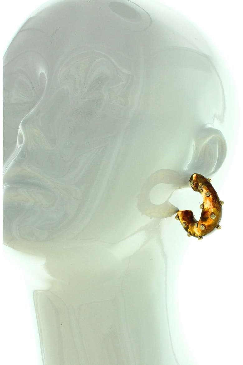 Brandy Studded Resin Hoop Earrings, Alternate, color, GOLD / BROWN