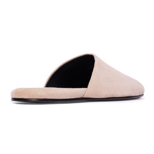 Black Suede Studio Shiloh Mule In Brown