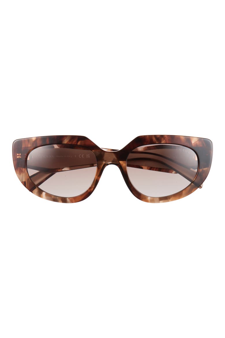 53mm Oval Sunglasses, Main, color, TORTOISE/ BROWN