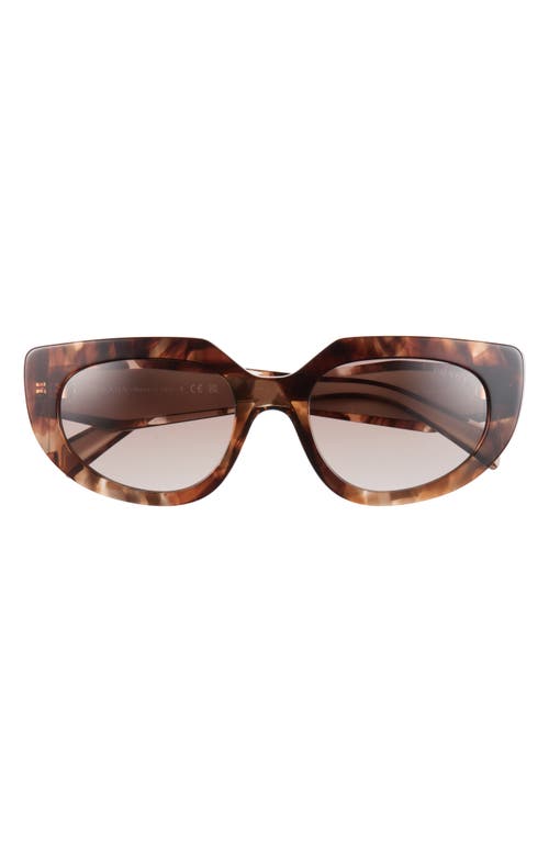 Prada 53mm Oval Sunglasses in Tortoise/brown at Nordstrom