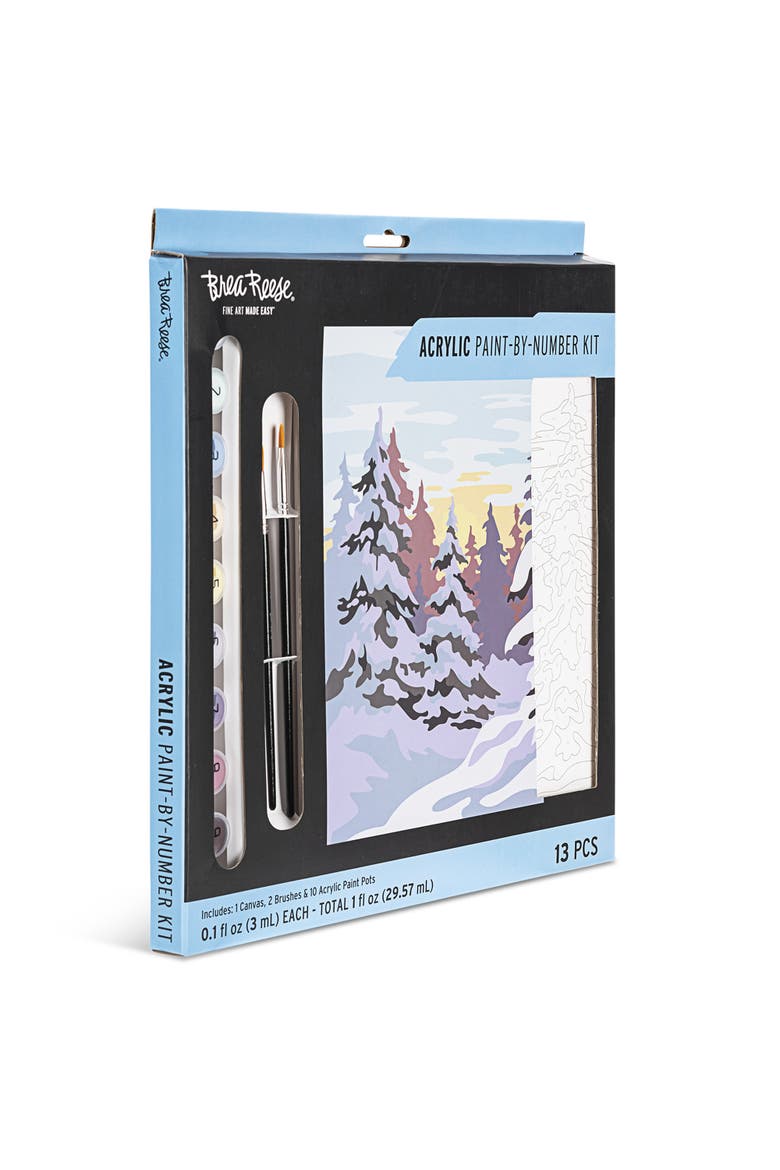 Acrylic Paintbynumber Kit Winter Wonderland, Alternate, color, Multicolored
