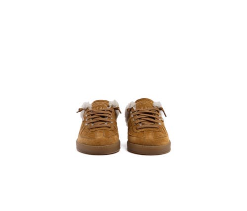 P448 Monaco Sneaker In Brown