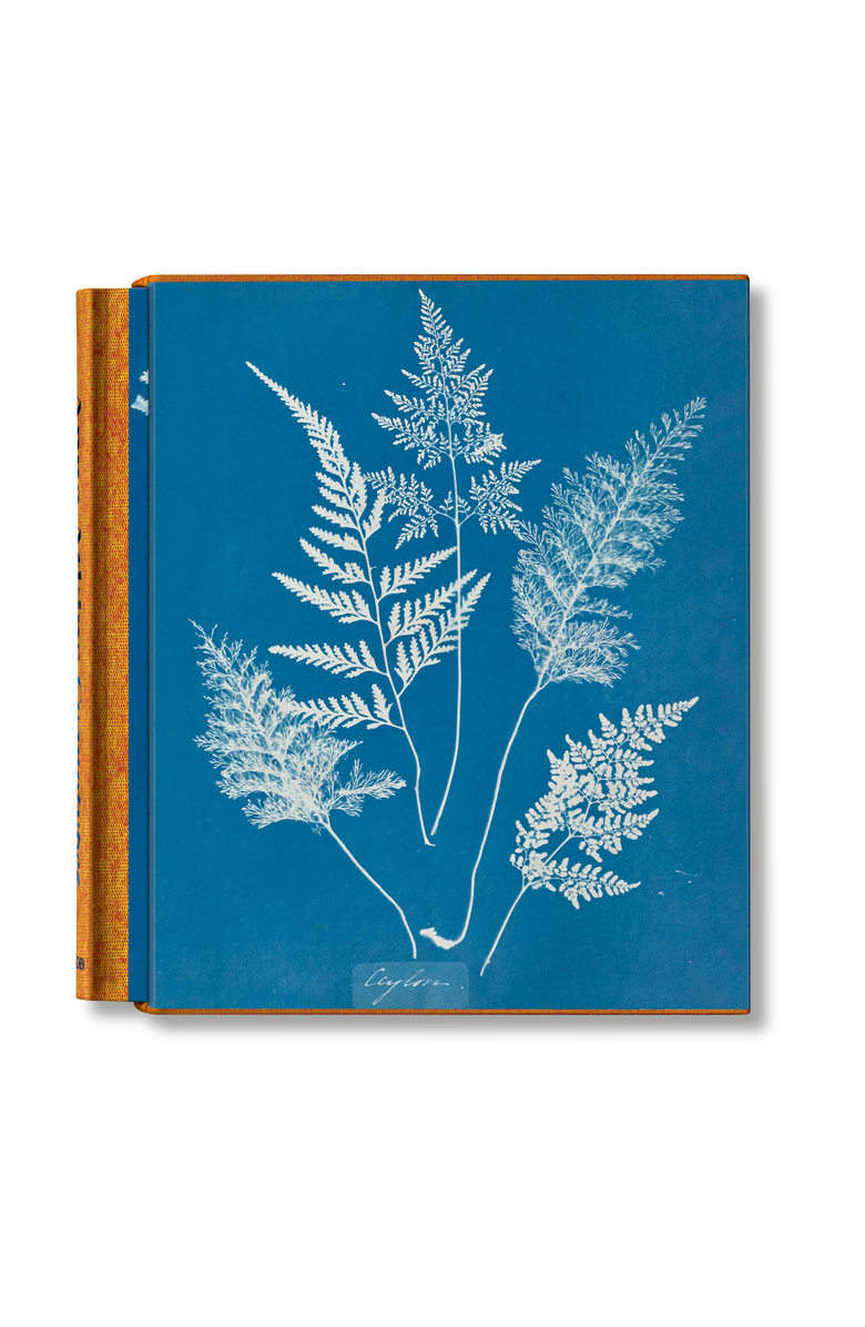 Taschen Anna Atkins. Cyanotypes, Main, color, Multicolor