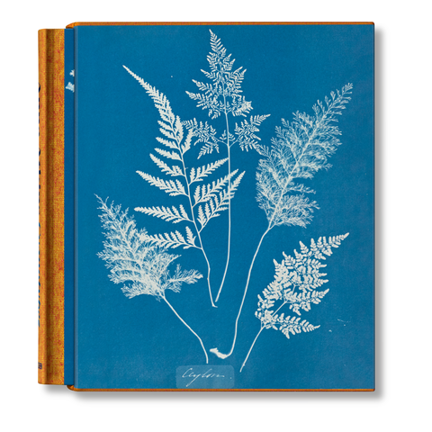 Anna Atkins. Cyanotypes