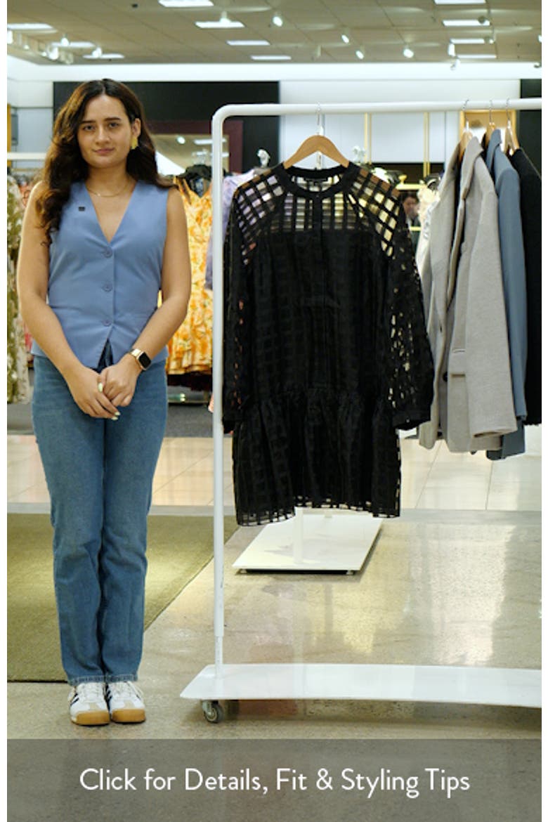 Check Long Sleeve Organza Dress video