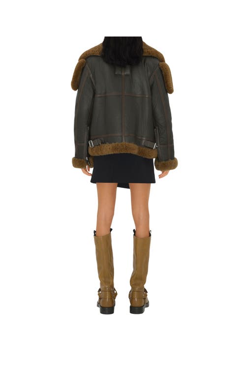 Burberry Shearling Leather Aviator Jacket In Brown