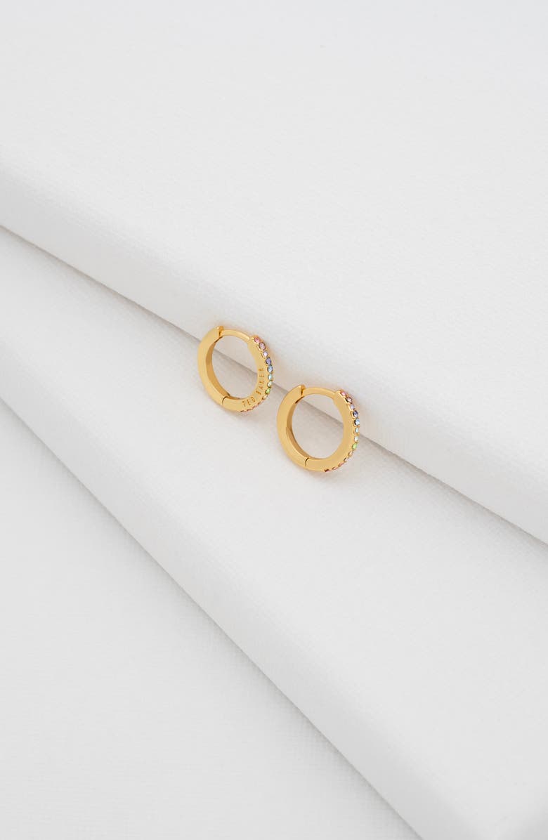 Ted Baker Heplie Pavé Hoop Earrings, Alternate, color, Gold Tone/ Rainbow Crystal
