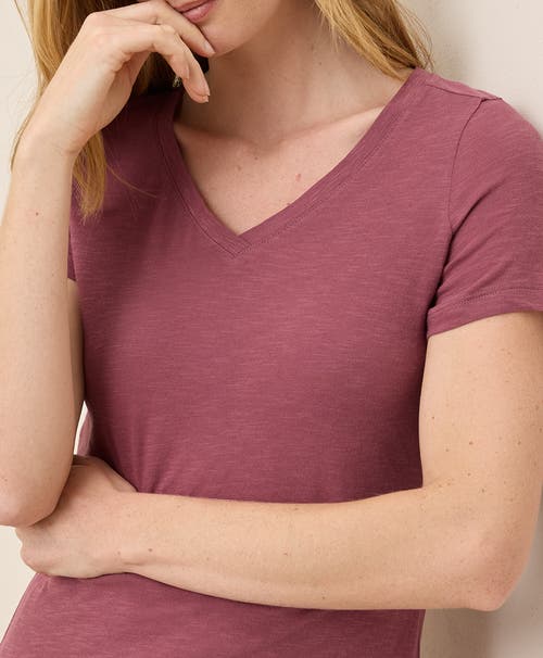 Pact Organic Cotton Featherweight Slub V-neck Tee In Mauve