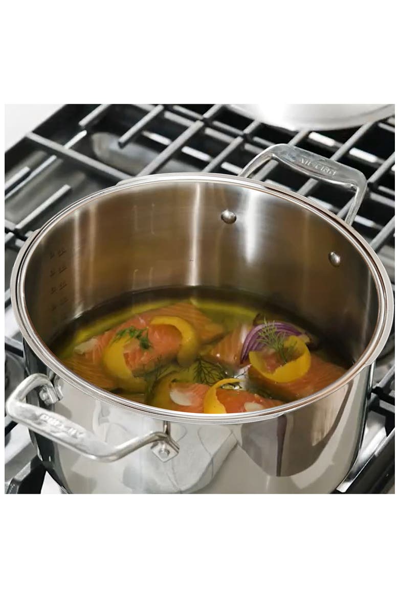 Simply Strain 6-Quart Multipot with Strainer Lid, Alternate, color, SILVER