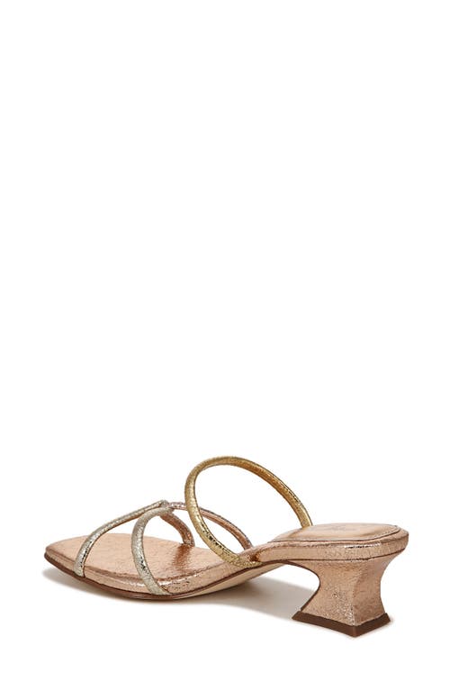CIRCUS NY BY SAM EDELMAN CIRCUS NY BY SAM EDELMAN FAYE STRAPPY SANDAL