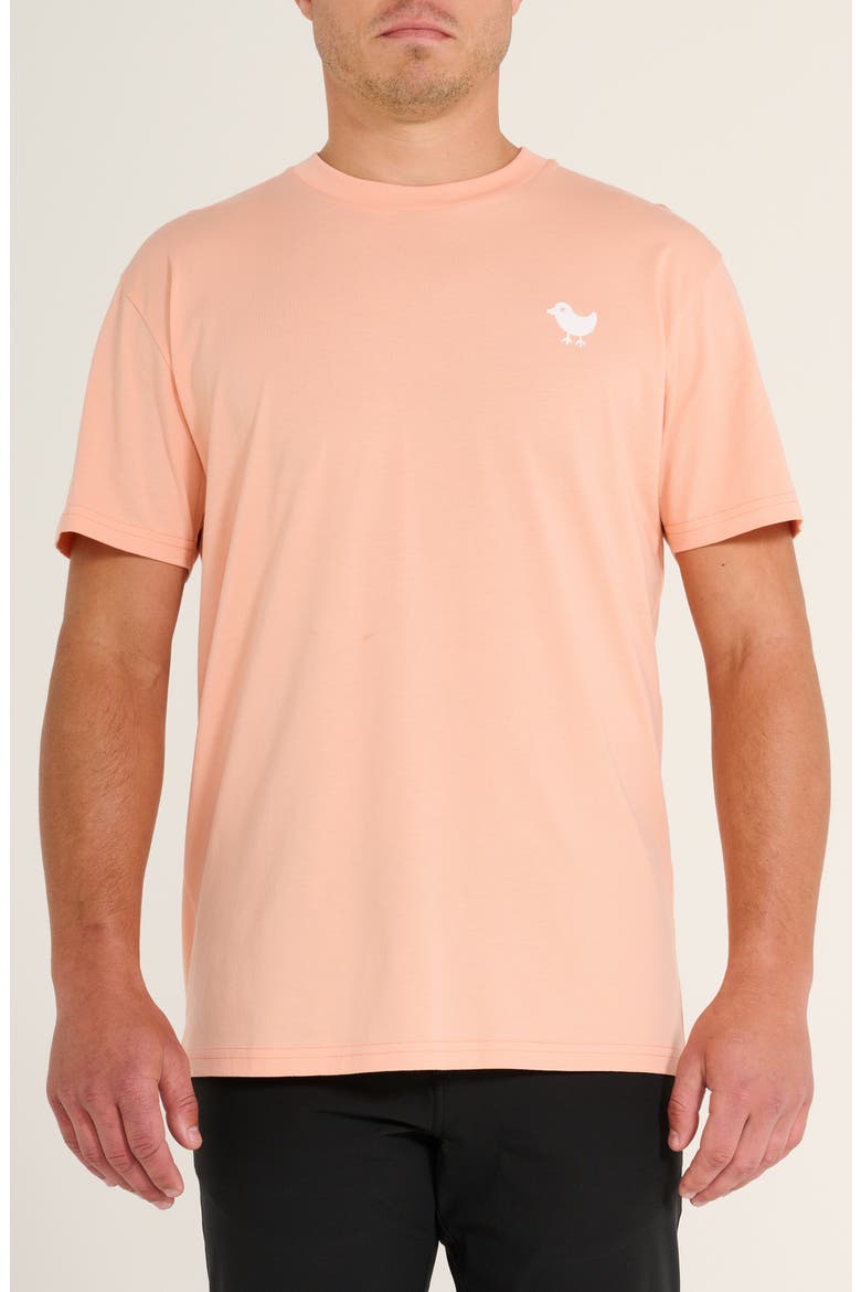 Bad Graphic T-Shirt, Main, color, LIGHT CLAY