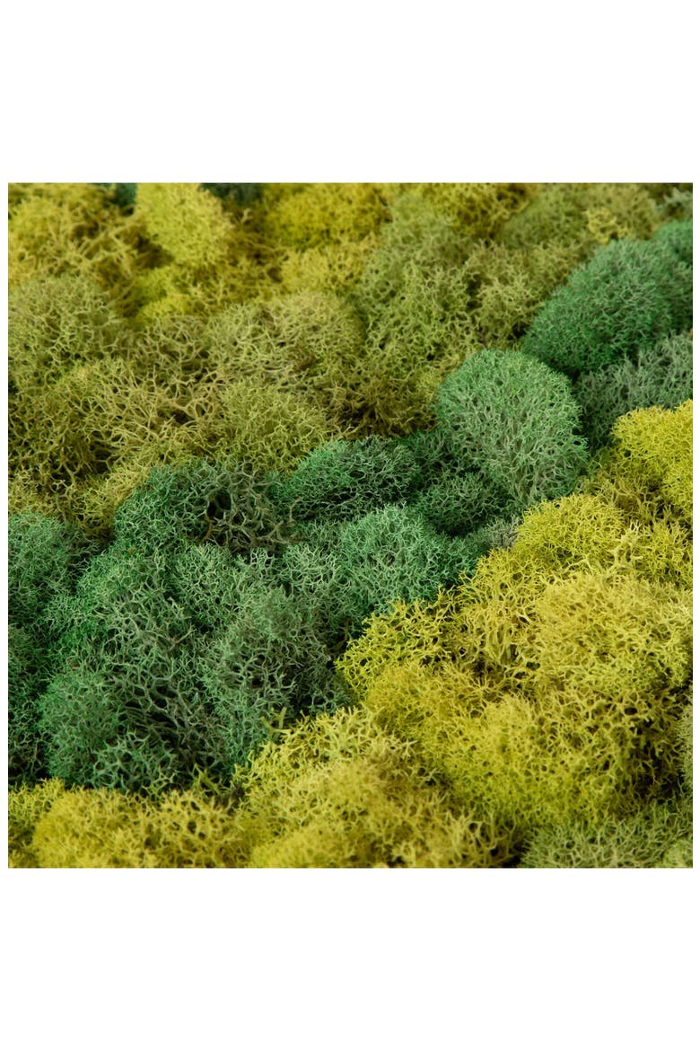 Moss Art by Numbers by Moss Art by Numbers, Alternate, color, Olive Green