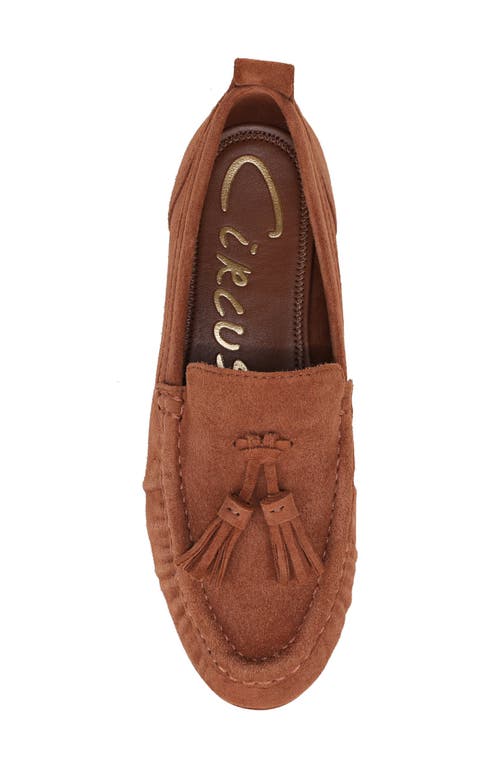Circus Ny By Sam Edelman Hudson Tassel Loafer In Brown