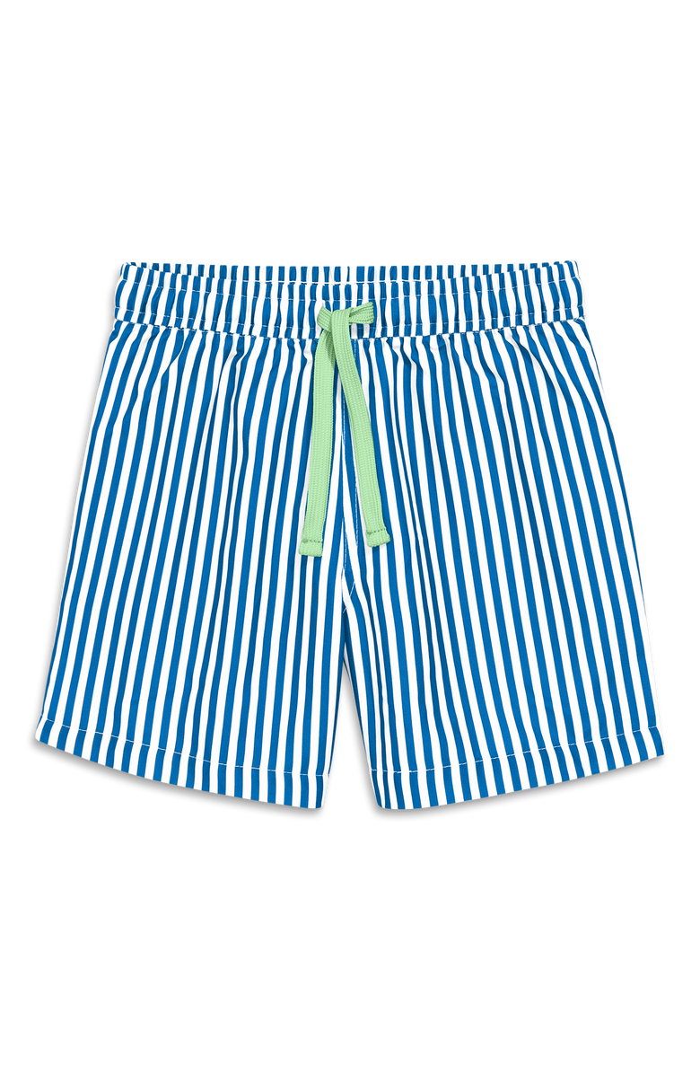 Primary Kids Swim Trunk In Stripe, Main, color, Blueberry White Stripe