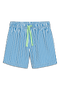 selected Blueberry White Stripe