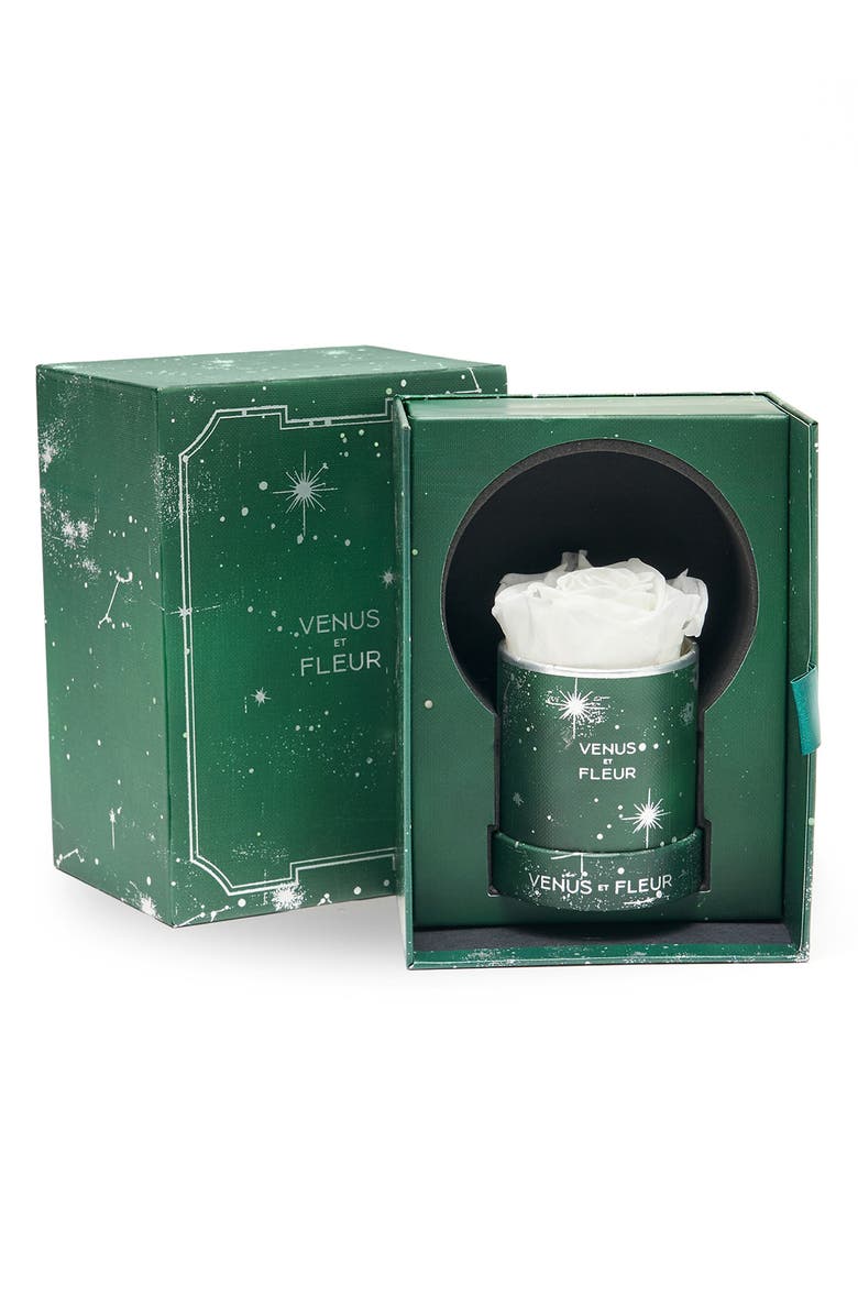 Venus ET Fleur Mini Round Holiday Zodiac White Eternity Rose<sup>®</sup>, Alternate, color, White