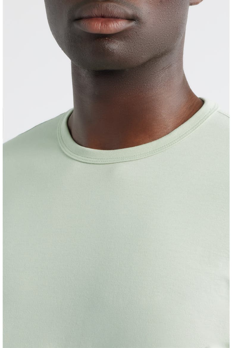 Bryce Crewneck T-Shirt, Alternate, color, LIME ZEST