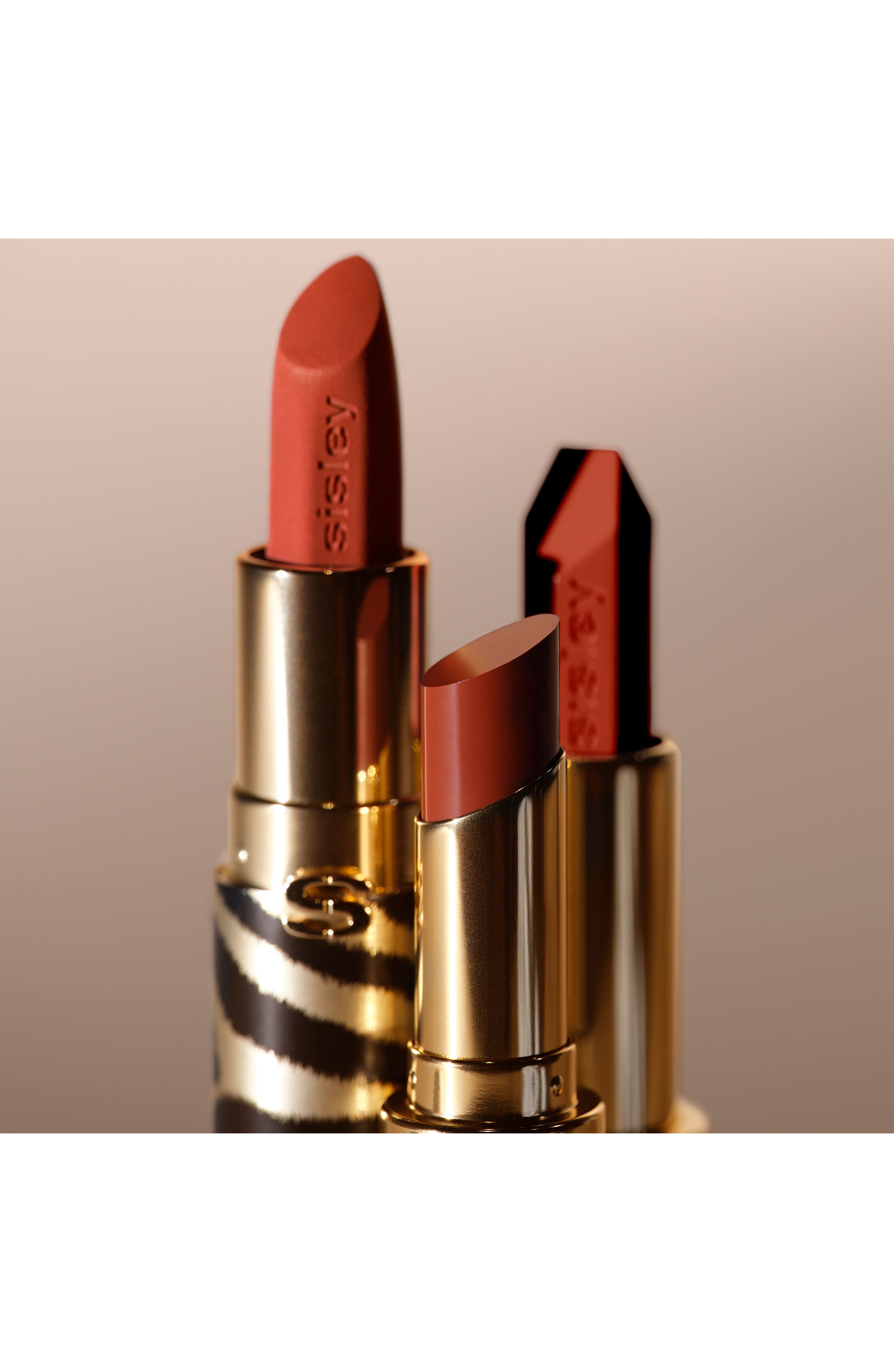 Phyto-Rouge Shine (Women) | Nordstrom