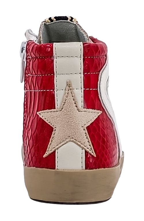 Shushop Kids' Roony High Top Sneaker
