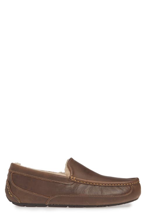 Ugg(r) Ascot Leather Slipper In Brown