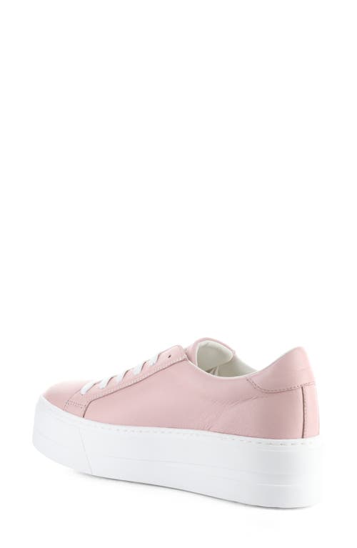 Bos. & Co. Maya Platform Sneaker In Pink