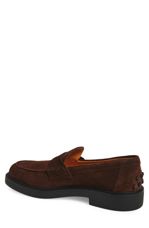 Tod's Penny-loafer Aus Wildleder In Brown