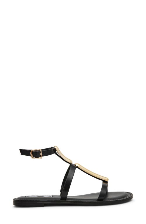 STEVE MADDEN STEVE MADDEN ALMA GLADIATOR SANDAL