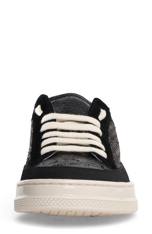 Candice Cooper Tim Perforated Leather Lace-up Sneaker In Black